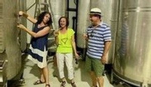 Tour the winery, discover how wine is made