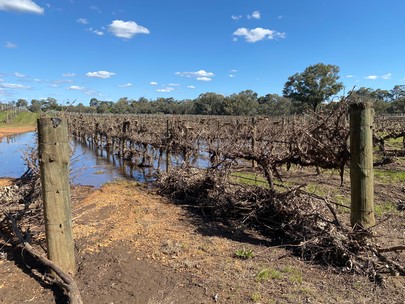 Flood Debris