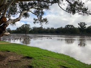 How high did the water get?