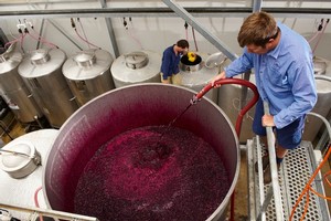 Checking the ferment