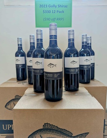 12 Pack Gully Shiraz