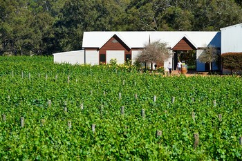 Winery Tour 14 Oct