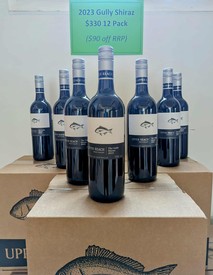 12 Pack Gully Shiraz