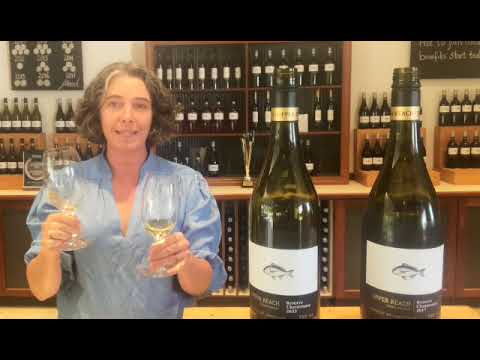 Compare old & new chardonnay   SD 480p