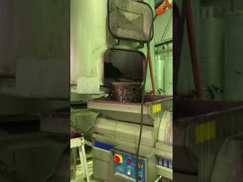 Making red wine, after it has fermented we need to drain the shiraz from the fermenter.