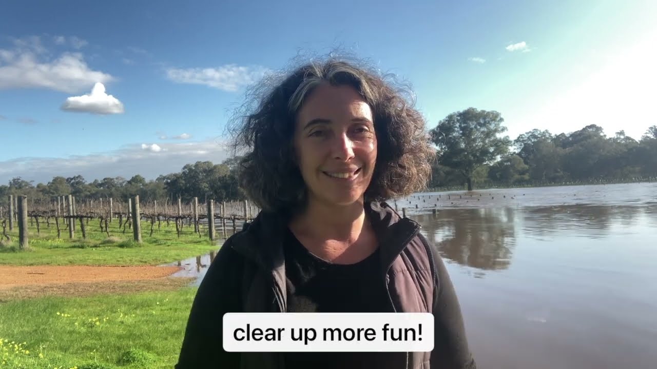 Does flooding damage a vineyard?