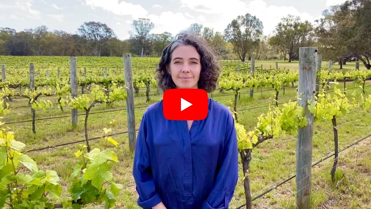 The Story of Upper Reach Winery