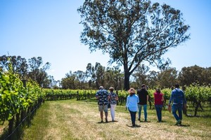 Winery Tour at Upper Reach Winery Swan Valley Perth
